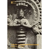 A Reader on the Sanskrit Grammarians