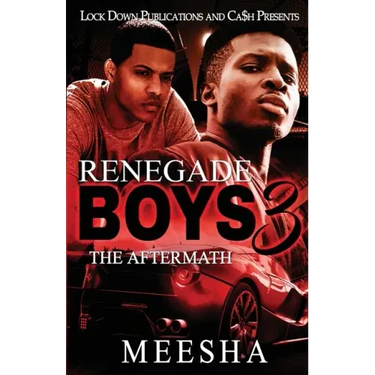 Renegade Boys 3: The Aftermath