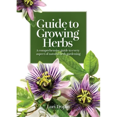 Guide to Growing Herbs