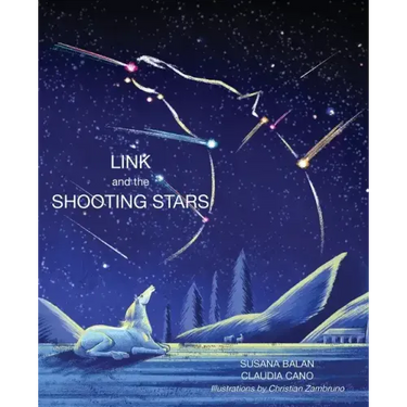 Link and the Shooting Stars