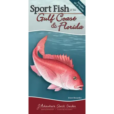 Sport Fish of the Gulf Coast & Florida: Your Way to Easily Identify Sport Fish