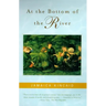 At the Bottom of the River