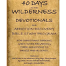 40 Days in the Wilderness Addiction Recovery Devotionals and Bible Studies