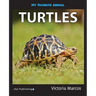 My Favorite Animal: Turtles