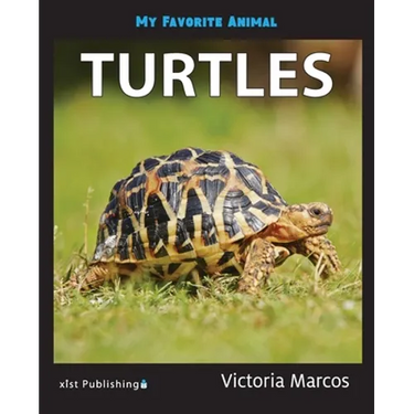 My Favorite Animal: Turtles