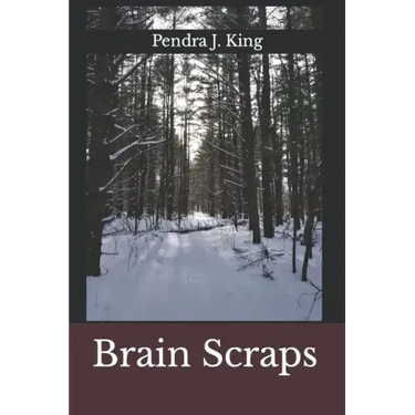 Brain Scraps
