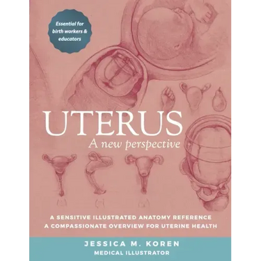 Uterus: A new perspective