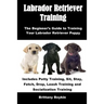 Labrador Retriever Training: The Beginner's Guide to Training Your Labrador Retriever Puppy: Includes Potty Training, Sit, Stay, Fetch, Drop, Leash Tr