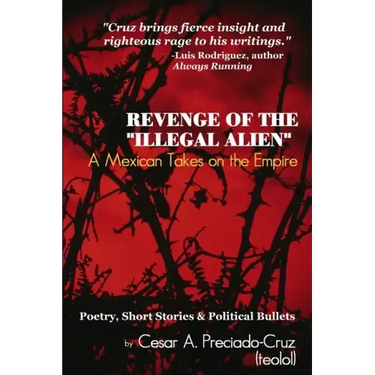 Revenge of the "Illegal Alien": A Mexican Takes on the Empire