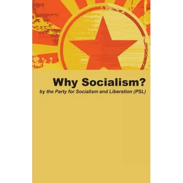 Why Socialism?