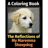 The Reflections of My Maremma Sheepdog: A Coloring Book