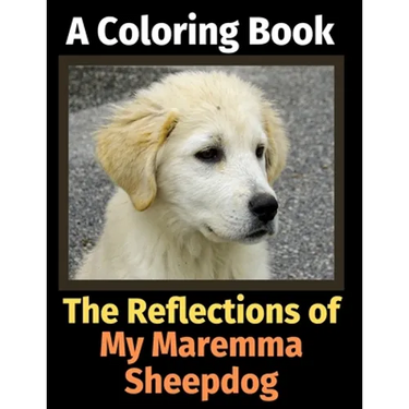 The Reflections of My Maremma Sheepdog: A Coloring Book