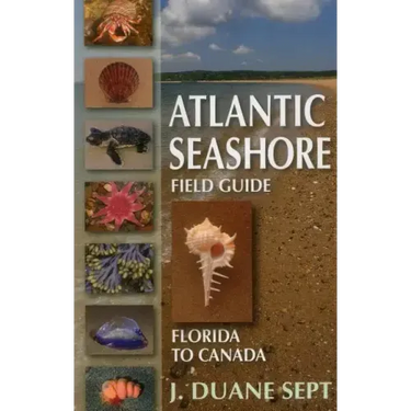 Atlantic Seashore Field Guide: Florida to Canada