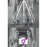 Argentine, Mexican, and Guatemalan Photography: Feminist, Queer, and Post-Masculinist Perspectives
