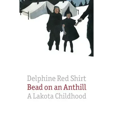 Bead on an Anthill: A Lakota Childhood