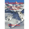 Chameleons: Neutral Switzerland during WWII