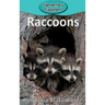 Raccoons