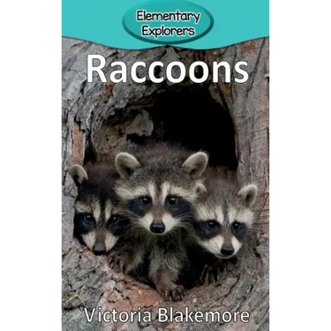 Raccoons