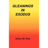 Gleanings in Exodus