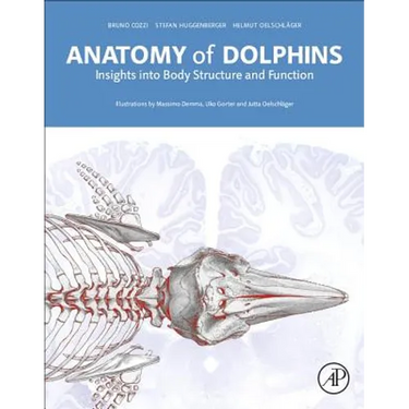 Anatomy of Dolphins: Insights Into Body Structure and Function