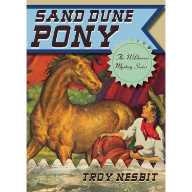 Sand Dune Pony