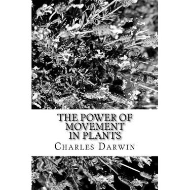 The Power of Movement in Plants