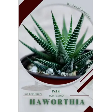 Haworthia: Prodigy Petal, Plant Guide