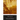 Bamboo, Considered as a Paper-making Material