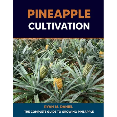 Pineapple Cultivation: The Complete Guide to Growing Pineapple