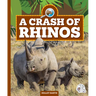 A Crash of Rhinos
