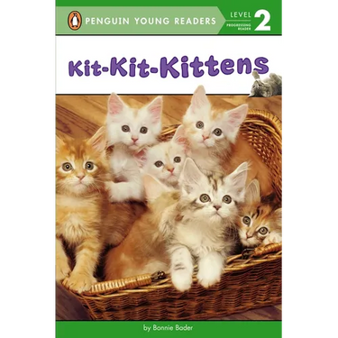 Kit-Kit-Kittens