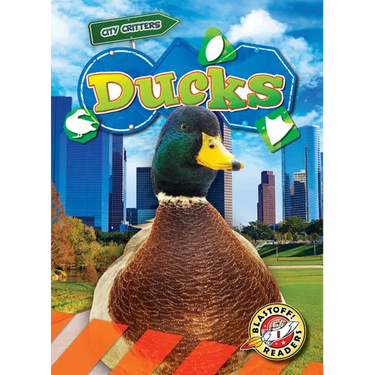 Ducks