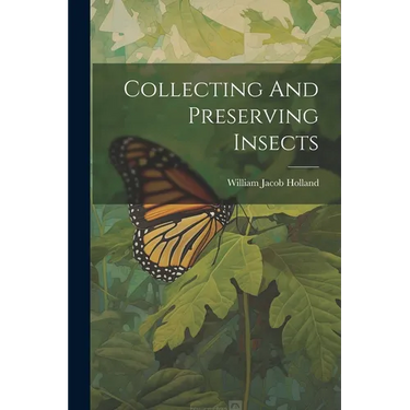Collecting And Preserving Insects