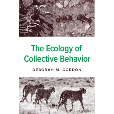 The Ecology of Collective Behavior