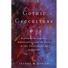 Gothic Geoculture: Nineteenth-Century Representations of Cuba in the Transamerican Imaginary