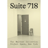 Suite 718: The Walther Collection Project Space, New York