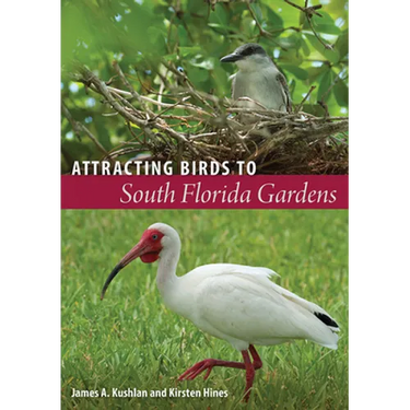 Attracting Birds to South Florida Gardens