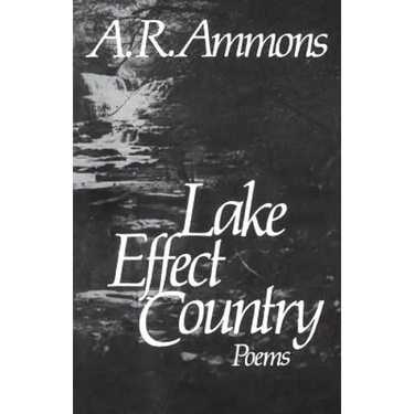Lake Effect Country: Poems