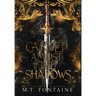 Carved Amidst the Shadows