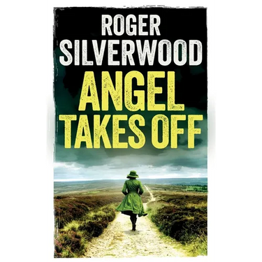 Angel Takes Off: an enthralling crime mystery full of twists