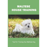 Maltese House Training: Tips For Training Your Maltese Dog: How To Train A Maltese Puppy To Sit