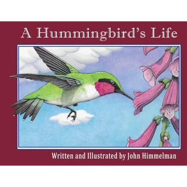 A Hummingbird's Life