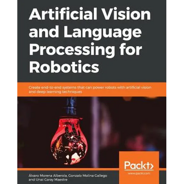 Artificial Vision and Language Processing for Robotics