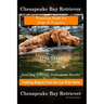 Chesapeake Bay Retriever Training Book for Dogs & Puppies By D!G THIS DOG Training Easy Dog Training, Professional Results, Training Begins from the C