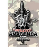 Operation Anaconda and Beyond
