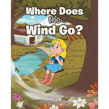 Where Does the Wind Go?