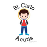 Blessed Carlo Acutis- Children's Christian Book - Lives of the Saints