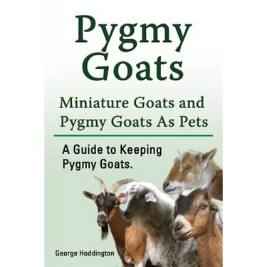 Pygmy Goats. Miniature Goats and Pygmy Goats As Pets. A Guide to Keeping Pygmy Goats.