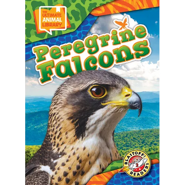 Peregrine Falcons