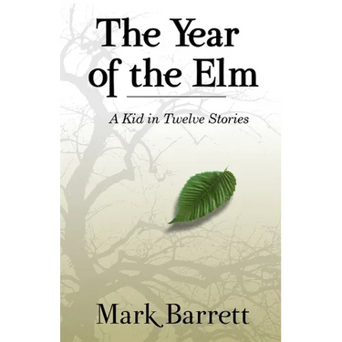 The Year of the Elm: A Kid in Twelve Stories